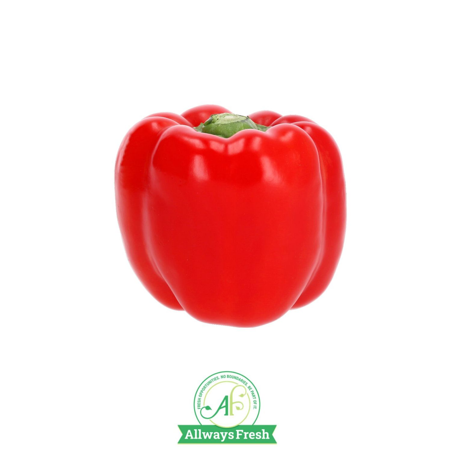 A showcase of Product Photography work that we have recently completed at K360 Product Photography. We also specialise in Jewellery Photography, 360 Product Photography and e-commerce photography for your platforms of choice. Includes Amazon, Takealot, Shopify, WooCommer, Wix, Facebook, Instagram & Many others. Visit www.k360.co.za or call +27791603887 for more info. Email hello@k360.co.za K360 Product Photography - Jewellery Photography - 360 Product Photography - Product Images - Cape Town Product Photographer - K360 Product Photography- www.k360.co.za