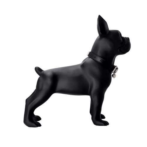 Frenchie1